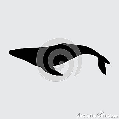 Whale Silhouette, Whale Isolated On White Background Vector Illustration
