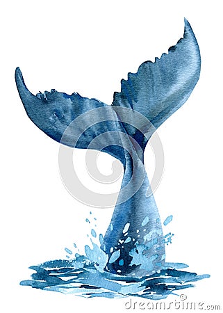 Whale tail in the ocean, splashing water, whale on isolated white background, watercolor illustration Cartoon Illustration