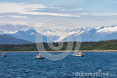 Whale Watching Boats Editorial Stock Photo