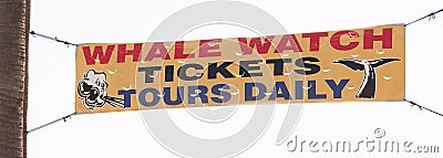 Whale watching tickets tours daily vinyl banner sign Stock Photo