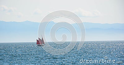 Whale-watching in Victoria Stock Photo