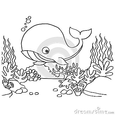 Whales Coloring Pages vector Vector Illustration