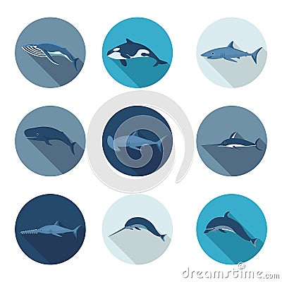 Whales and fish flat icons Stock Photo