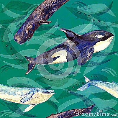 Whales variety: Blue, Killer Whale or Orca and Sperm or Cachalot, hand painted watercolor illustration, seamless pattern on green Cartoon Illustration