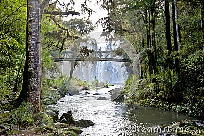 Whangarei Falls Stock Photo