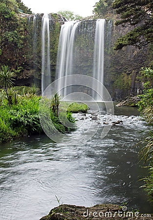 Whangarei Falls, Bay of Islands Stock Photo