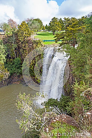 Whangarei Falls in New Zealand Stock Photo