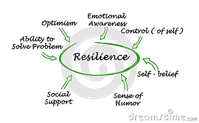 What contribute to resilience Stock Photo