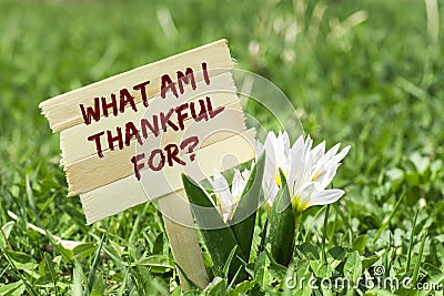 What am i thankful for Stock Photo