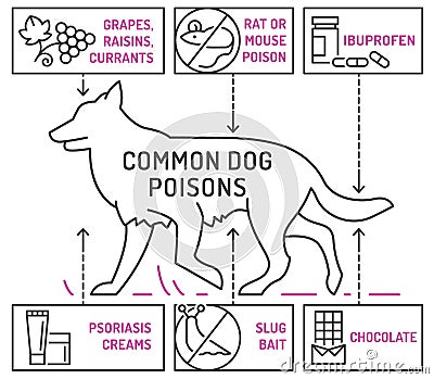 What is poisonous to dogs. Editable vector illustration Vector Illustration