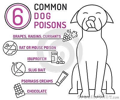 What is poisonous to dogs. Editable vector illustration Vector Illustration