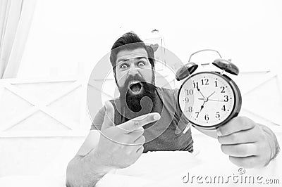 What time is it. Stressed man alarm clock. Sleepy man holding alarm clock in bed. Bearded man with alarm clock. Hipster Stock Photo