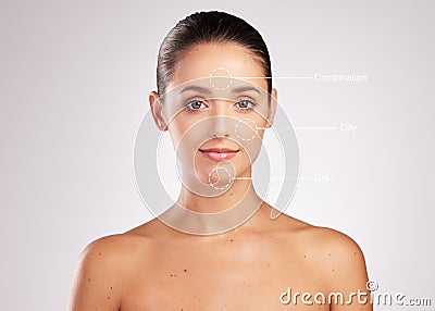 Whatever your skin type youre still beautiful. an attractive young woman with skin types indicated on her face against a Stock Photo