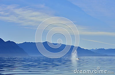 Wheal spout in seascape in Alaska Stock Photo