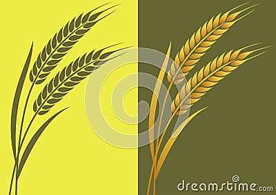 Wheat-1 Vector Illustration