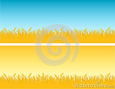 Wheat Stock Photo