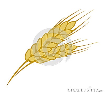 Wheat Stock Photo