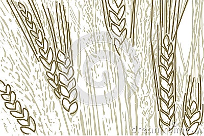 Wheat background Vector Illustration