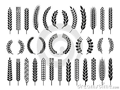 Wheat barley ears, oat isolated frames and wreaths. Grains graphic, rice or malt icons. Gluten pictogram, cereal Vector Illustration