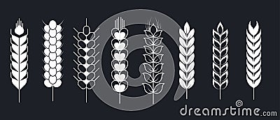 Wheat and barley rye and millet spikes or spikelets isolated plants Vector Illustration