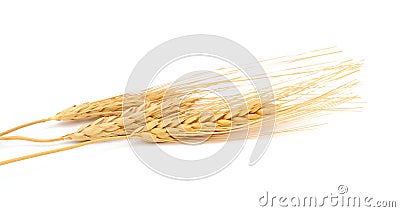 Wheat bundle Stock Photo