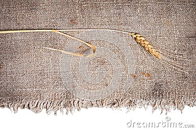 Wheat and burlap fabric. isolated Stock Photo