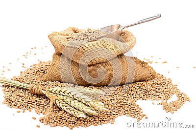 Wheat in a burlap sack Stock Photo