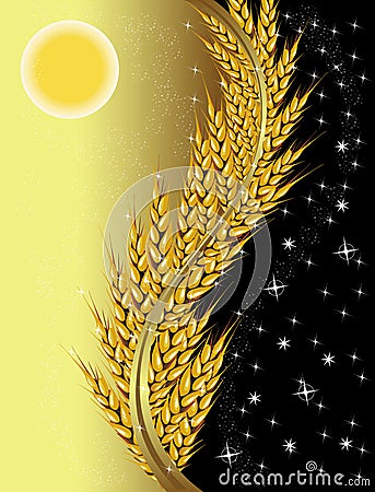 Wheat day and night Vector Illustration