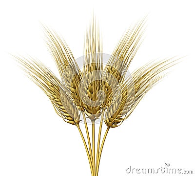 Wheat design Stock Photo