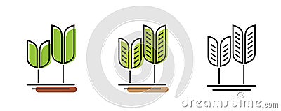 Wheat ear icon logo line simple sprout pictogram vector, grain spica linear outline art graphic illustration, barley corn plant Vector Illustration