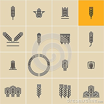 Wheat ear icon set, wheat ears Vector Illustration