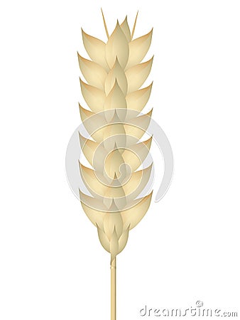 Wheat ear on a white background. Vector Illustration