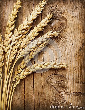 Wheat Ears Stock Photo