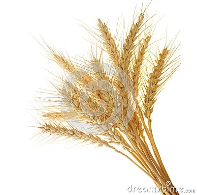 Wheat ears Stock Photo