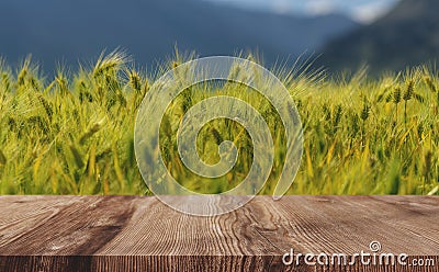 Wheat ears field background, green wheat crop with wooden floor Stock Photo