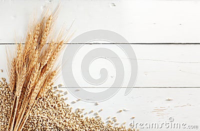 Wheat ears and grains Stock Photo