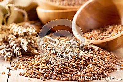 Wheat ears and grains Stock Photo