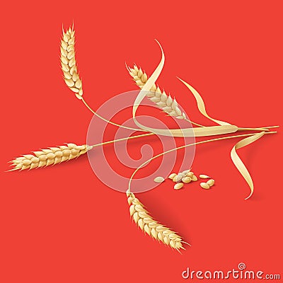 Wheat Ears on Red Vector Illustration