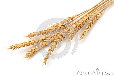 Wheat ears Stock Photo