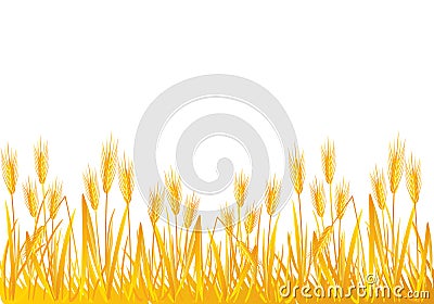 Wheat field Vector Illustration