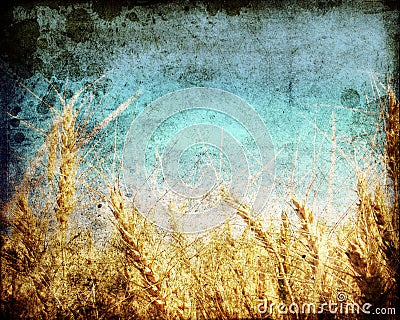 Wheat field Stock Photo