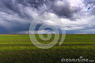 Wheat field adn sky in early summer Stock Photo