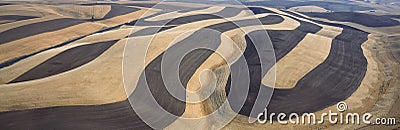 Wheat Fields and Contour Farming, S.E. Washington Stock Photo