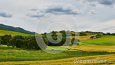 Wheat filed and meadows cloudy sky Stock Photo