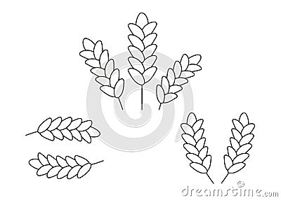 Wheat grain ear, nature set, line icon. Linear sketch of wheat, barley, oat ear and grain. Outline spica plant for Vector Illustration