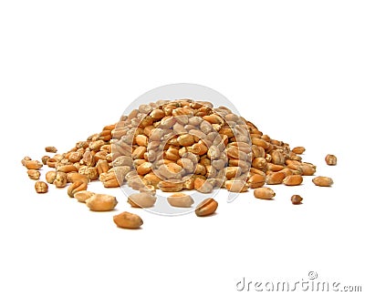 Wheat Grains Stock Photo