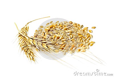 Wheat grains Stock Photo