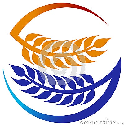 Wheat grains Vector Illustration