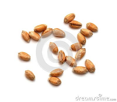 Wheat grains Stock Photo