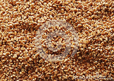 Wheat grains background Stock Photo